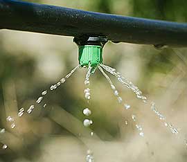 Water and Irrigation